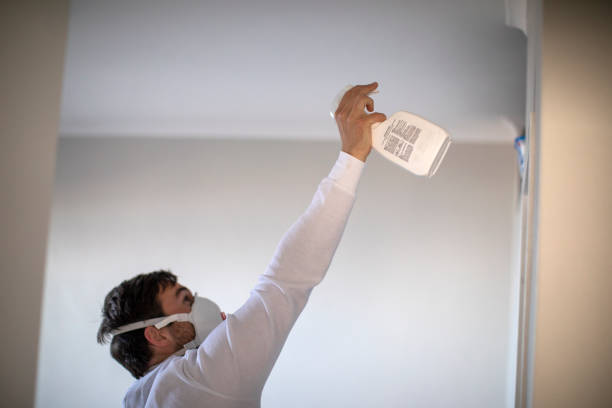 Best Industrial Mold Remediation in Austintown, OH