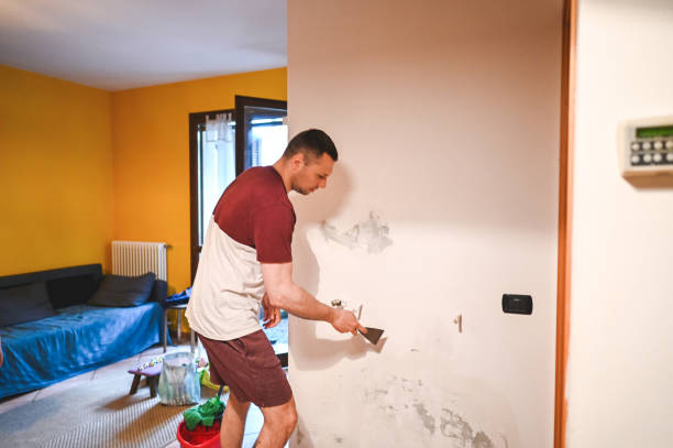 Best Preventive Mold Services in Austintown, OH